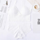 French Style Triangle Cup Bra Suit Women's Lace Sexy Gathering Underwear Bra and Panty Set
