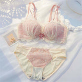 Hot Sexy Fancy Woman Underwear and Bra Set Underwear Bra Panty Set