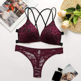 Sexy Lace Push-up Bra and Panties Set Embroidery Mesh Lingerie Set With Underwire Underwear