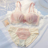Hot Sexy Fancy Woman Underwear and Bra Set Underwear Bra Panty Set
