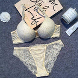 French Lingerie Set for Women - Deep V Push-Up Lace Bra Euro-American Sexy Style sexy bra and panties