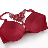 Sexy Glossy Beauty Back Gathered Women's Underwear Bra Brief Sets Bra and Panty Set