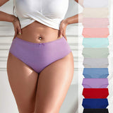 High Quality Multicolor Lace Mid-Rise Breathable Wholesale Women's Underwear Plus Size 1XL-4XL Women's Daily Panties