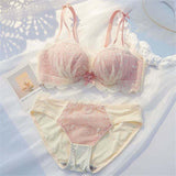 Hot Sexy Fancy Woman Underwear and Bra Set Underwear Bra Panty Set