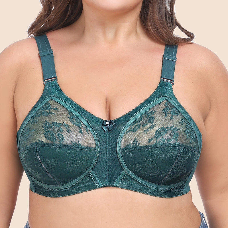 Ultra-Thin Full Cup European American Underwear Bestselling Classic Sexy Lace Bra Transparent Print Pattern for Foreign Trade