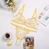 European and American Foreign Trade Sexy Lingerie Sexy Women's Mesh See-through Lingerie Two-piece Set
