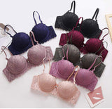 New Arrivals Underwire Lace Sexy Bra Women's Bra Women's Underwear