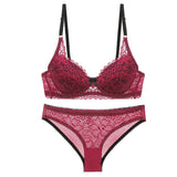 Lace Sexy Bra and Panty Bra and Panty Sets Women's Underwear