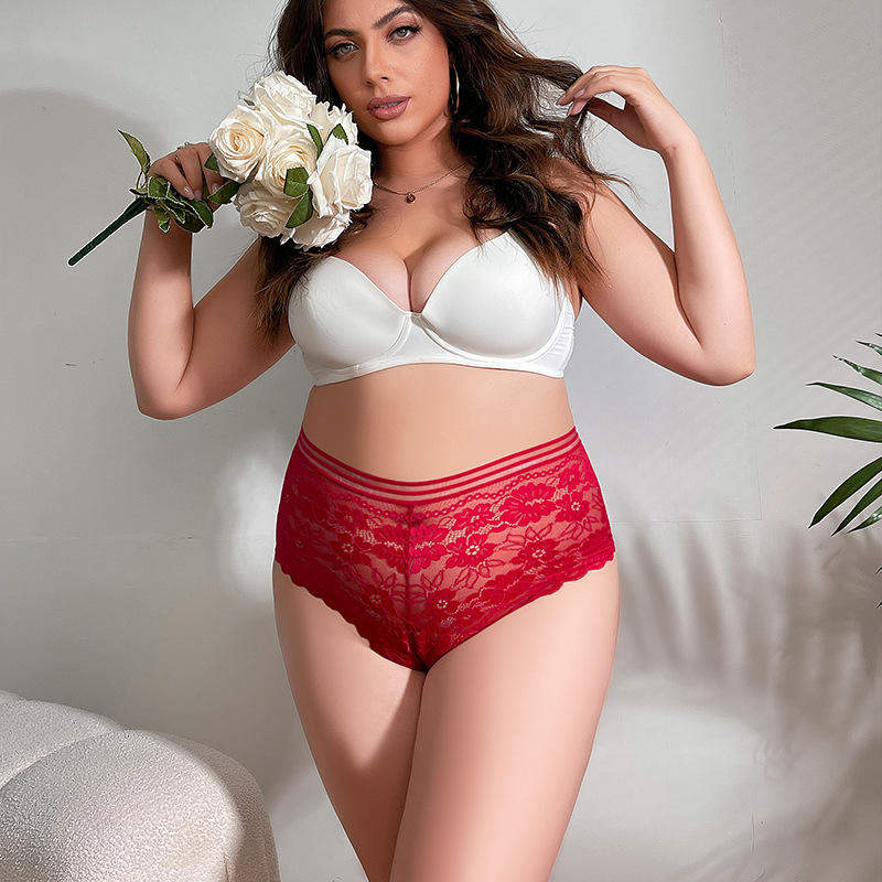Sexy Floral Lace Women's Briefs | Sheer Mesh Scalloped Edge Panties | Comfortable Breathable Underwear for Ladies