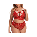 Women's Sexy Strap Bra Underwear Set Plus Size Two-Piece Lace Panty and Bra Firm Control Half Slips