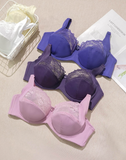 Bra Plus Size Women's Clothings Plus Size Underwear for Women