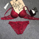 French Lingerie Set for Women - Deep V Push-Up Lace Bra Euro-American Sexy Style sexy bra and panties